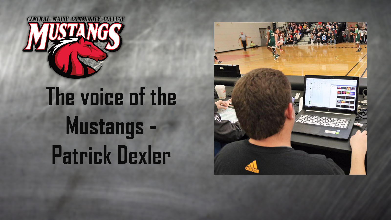 From the Ground Up - The Voice of the Mustangs