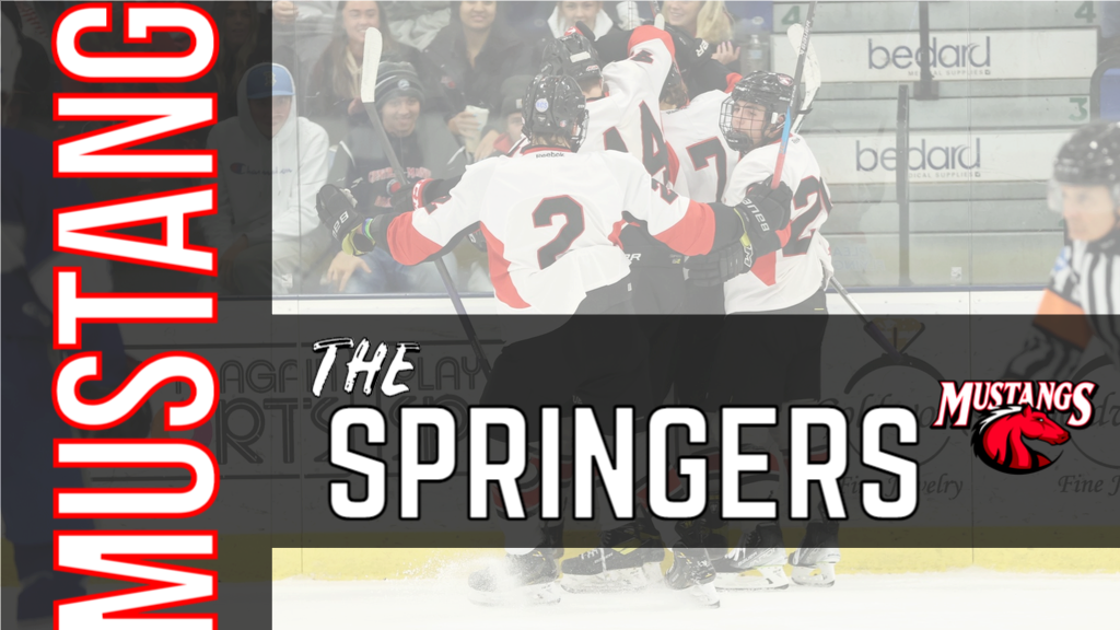 From the Ground Up - Springer Connection
