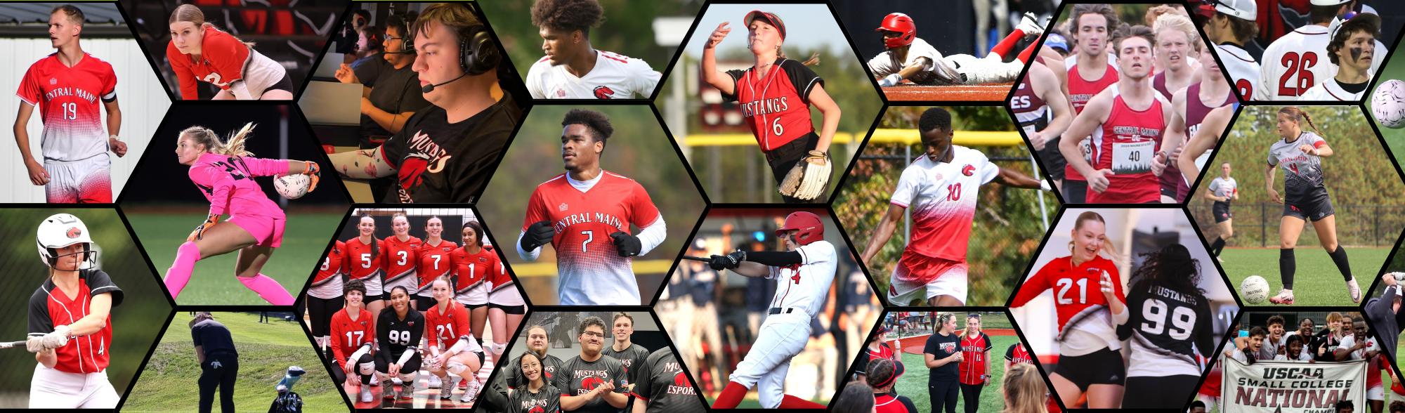 Fall 2024 Newsletter