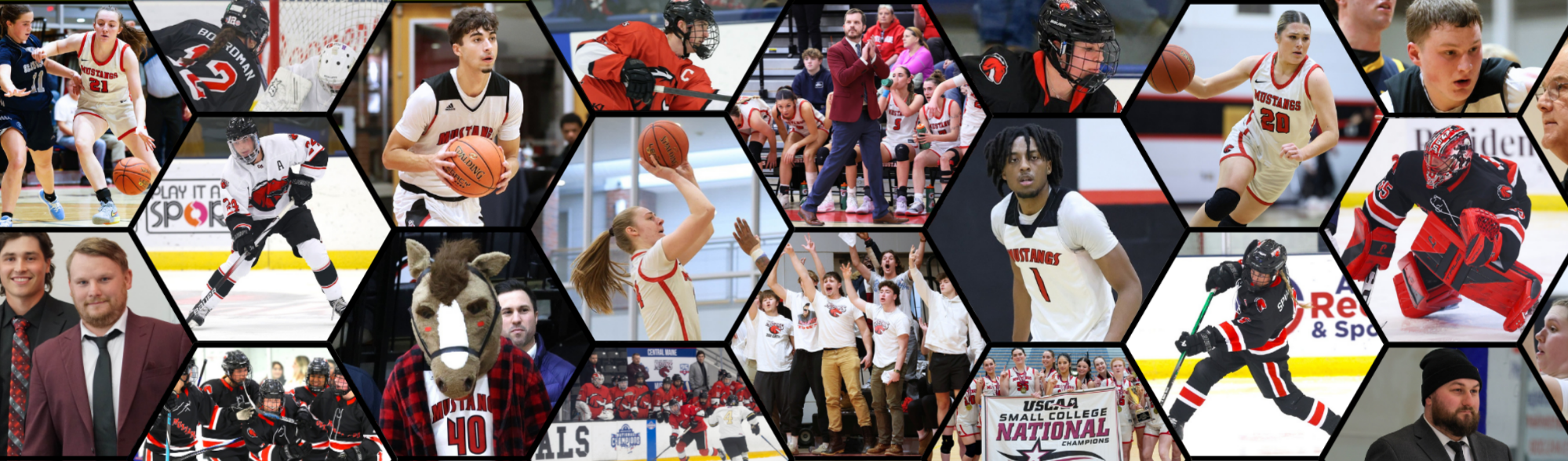 Winter 2026 Newsletter