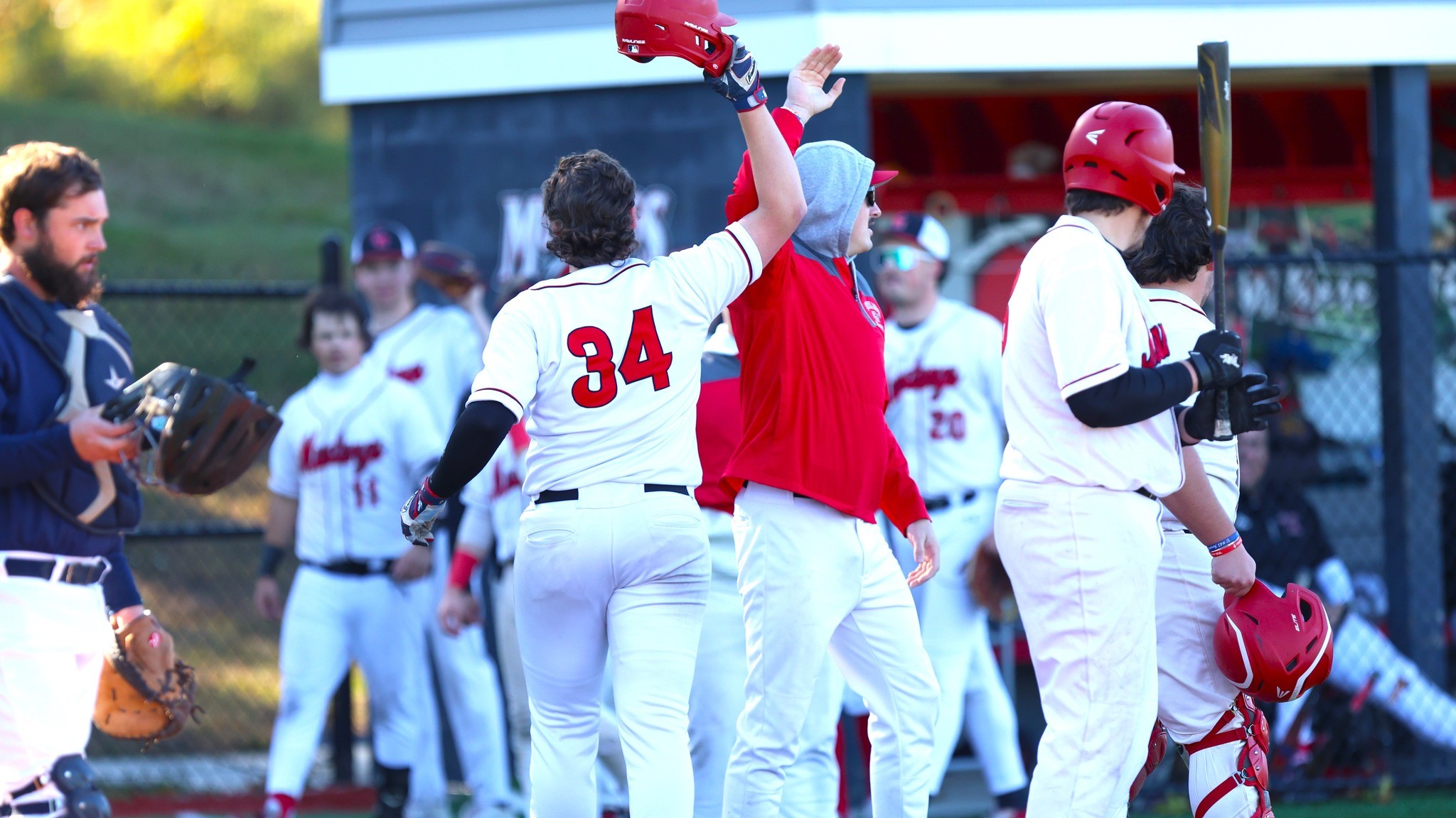 Heavy Hitting Lineup Ends Fall Ball With Sweep