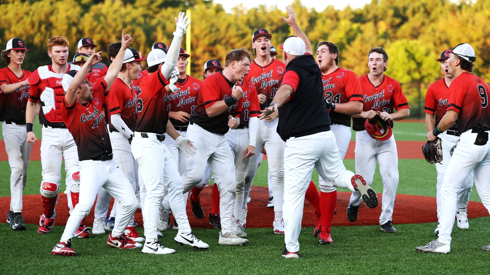 Baseball Gets Another Walk-Off Win vs York