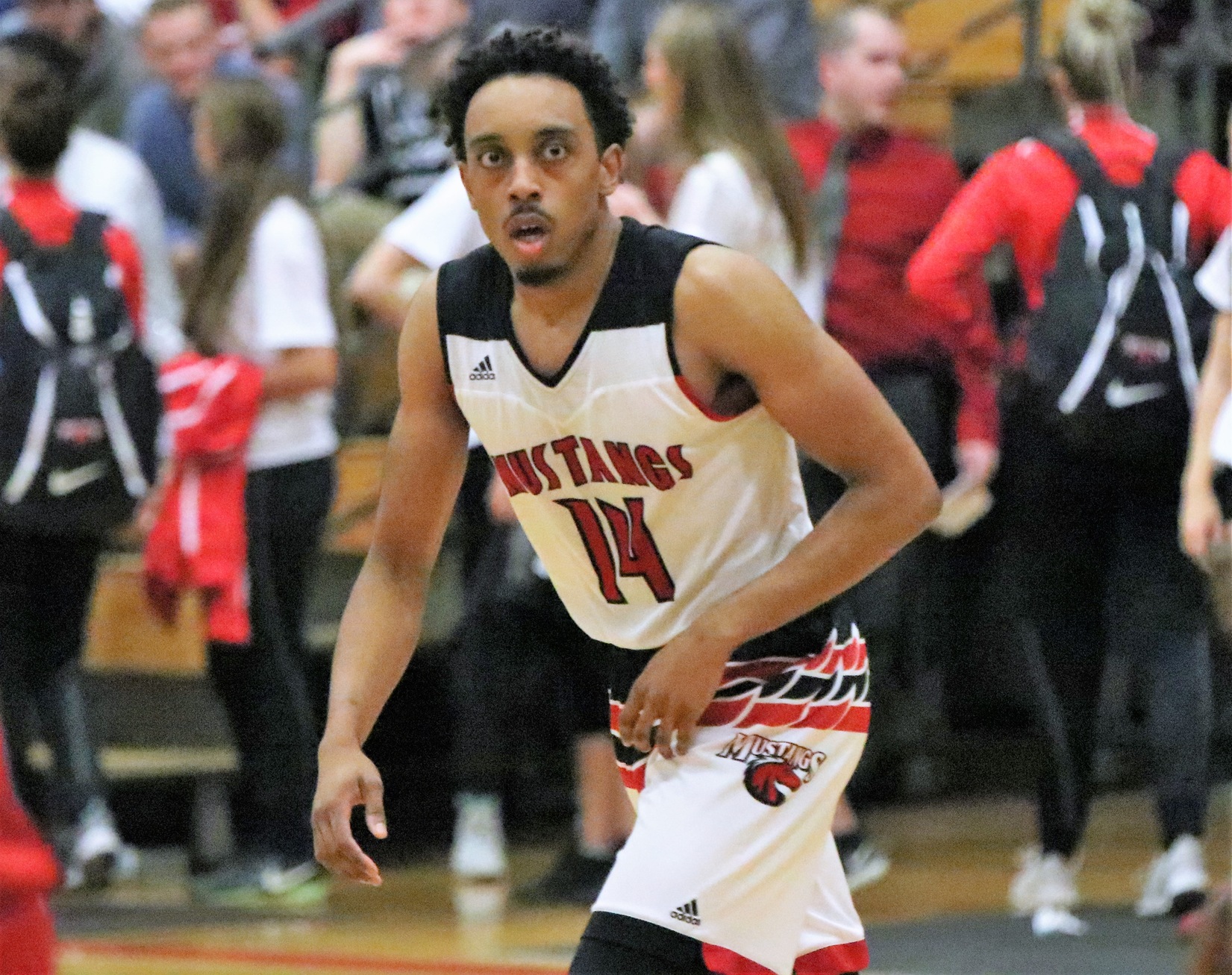 Lynx Drops Mustangs