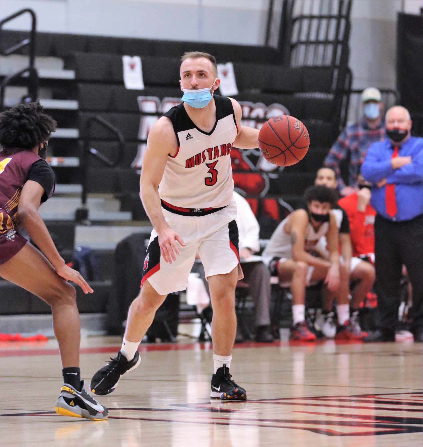 Lynx Run Over Mustangs