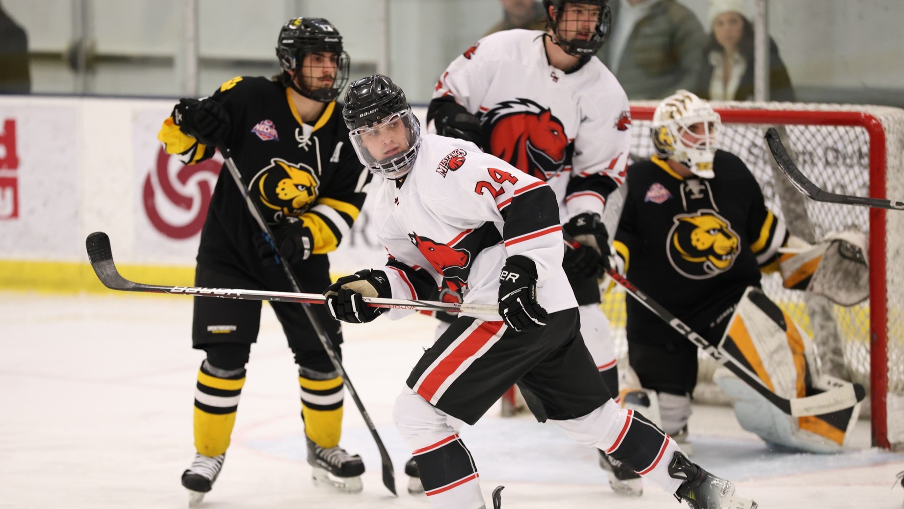 Mustangs Wrap Up Regular Season With 7-4 Loss to WIT