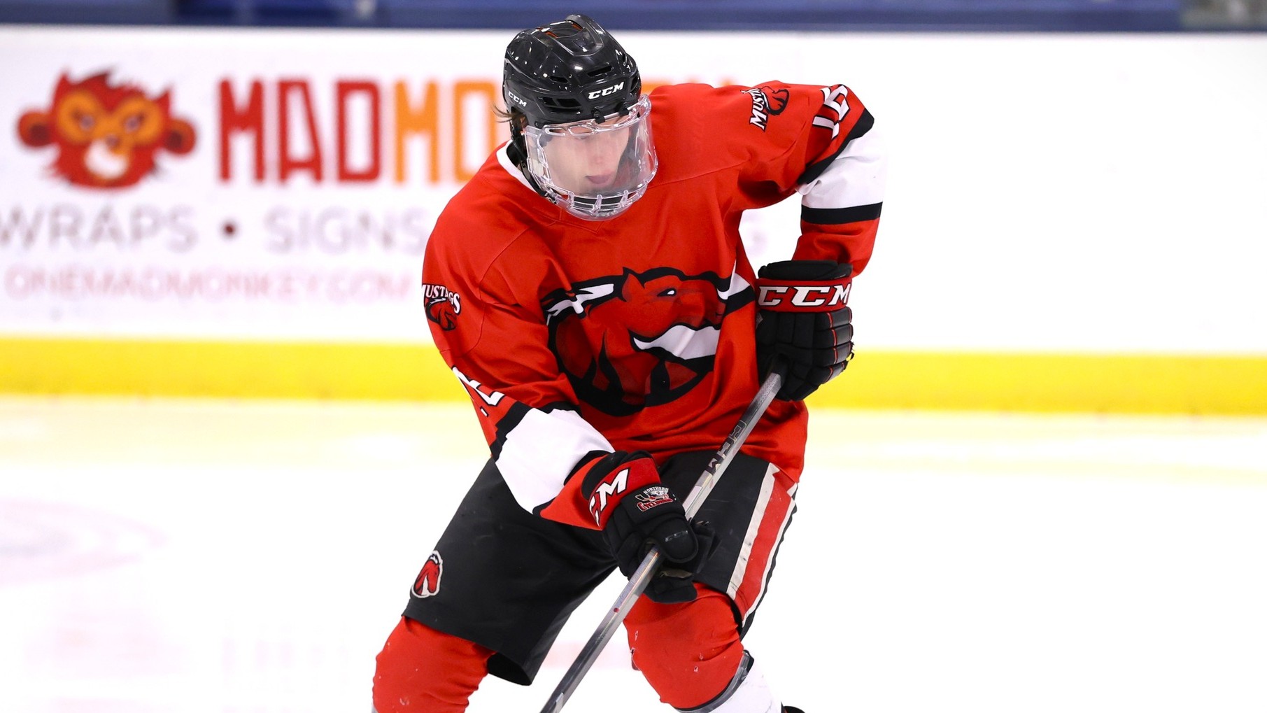 Men&rsquo;s Hockey Starts Semester with 4-2 Win at #13 Wentworth