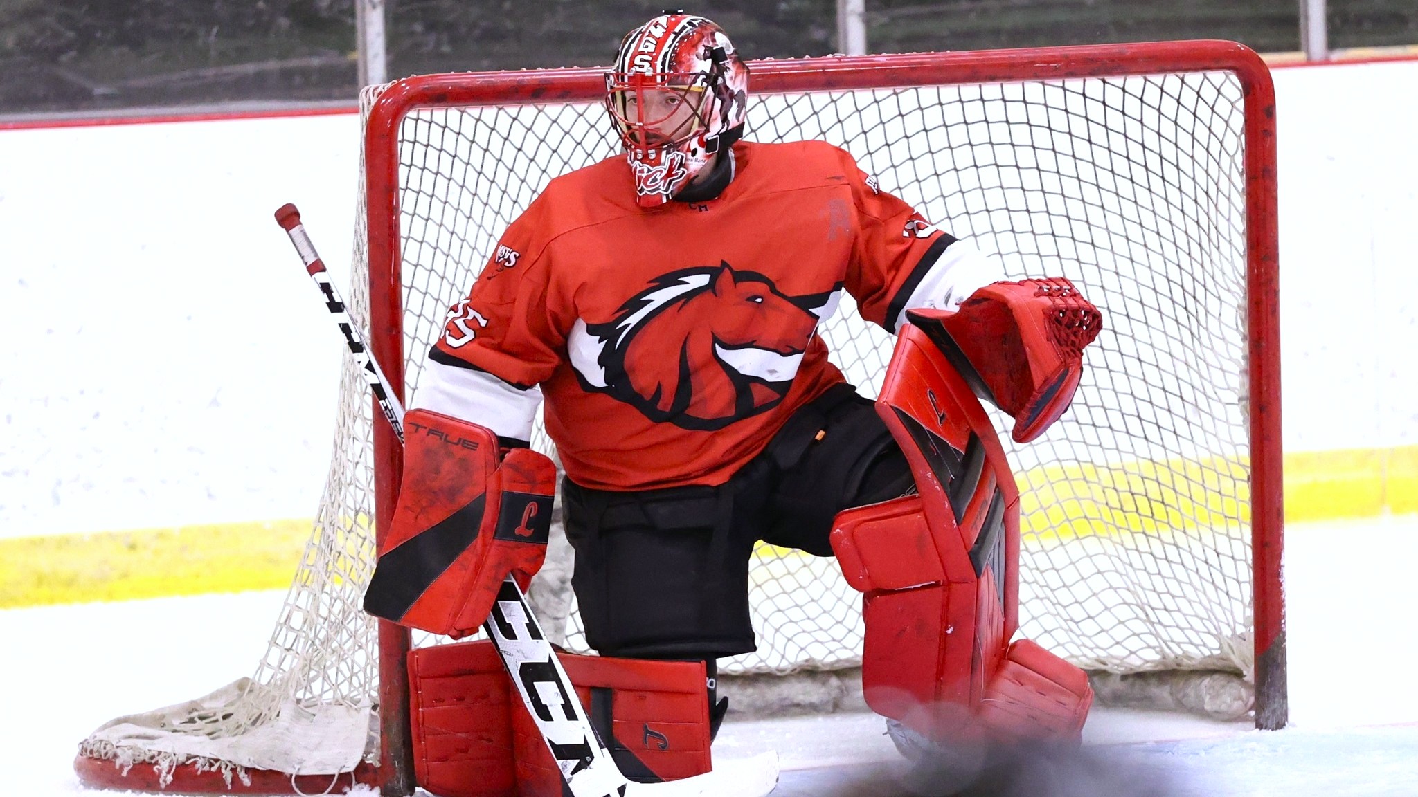 Wickens Shuts Out Thomas with 48-Save Performance