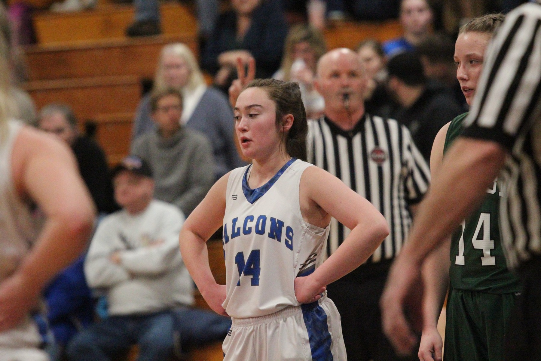Women's Basketball adds local guard