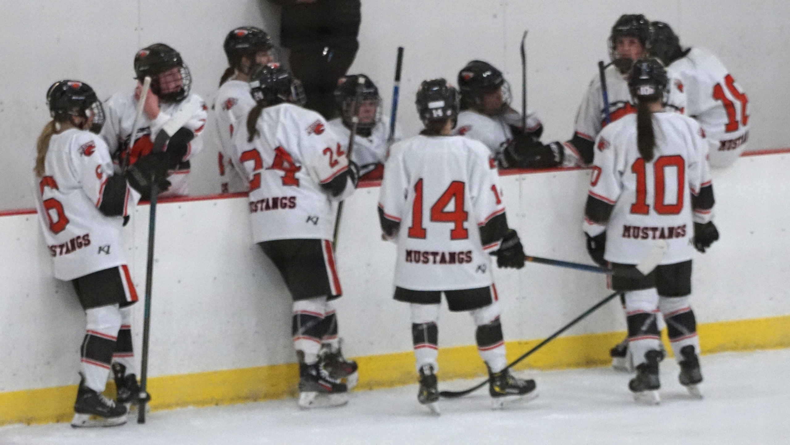 Women&rsquo;s Hockey Wraps Up First Season in Adirondack North
