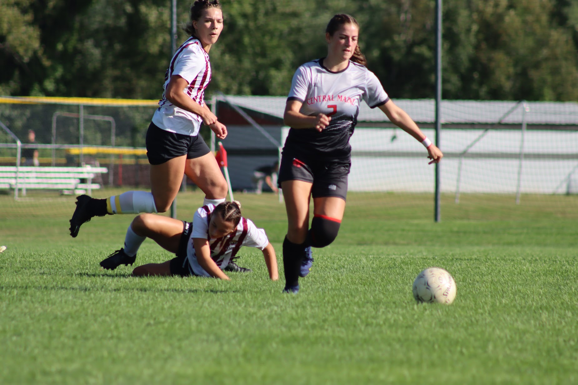 Mustangs Tie on the Road