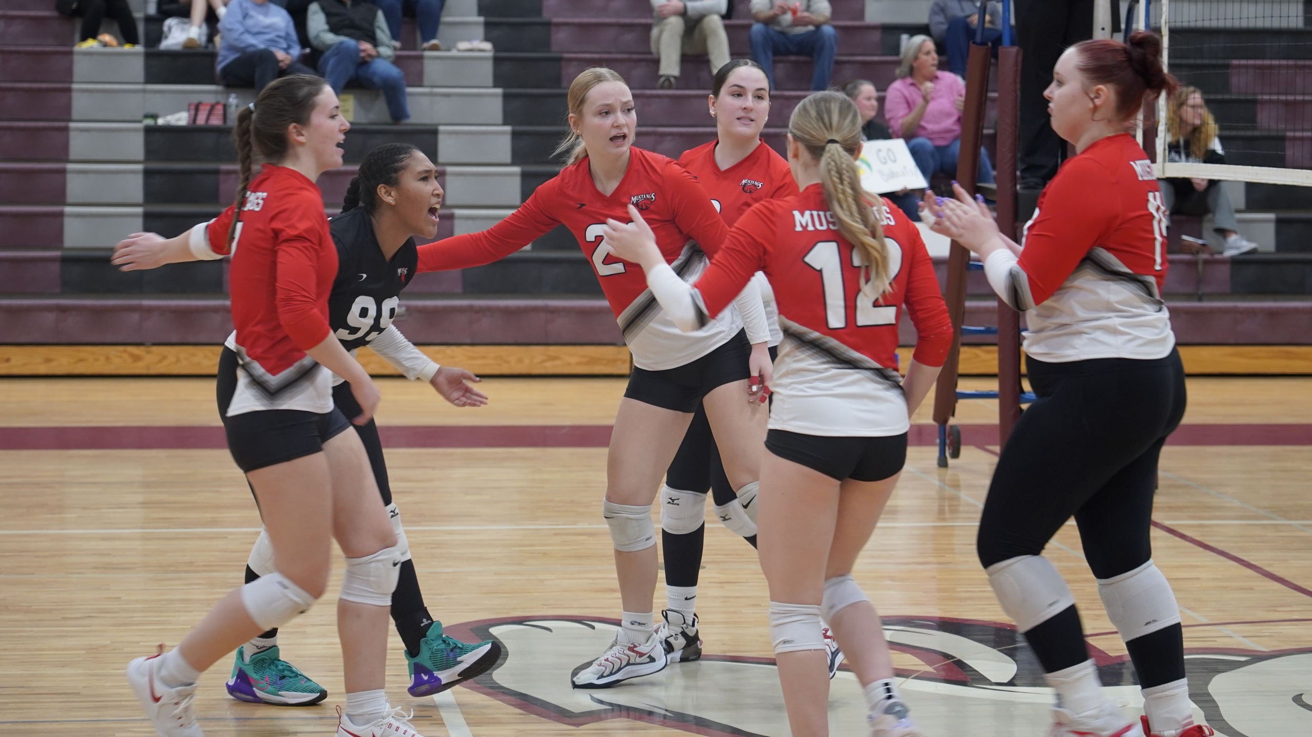 Volleyball&rsquo;s Run Ends in YSCC Semifinals